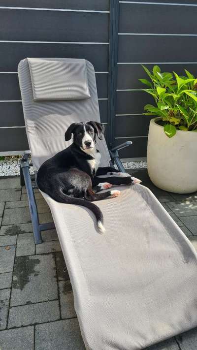 Pointer-Beitrag-Bild