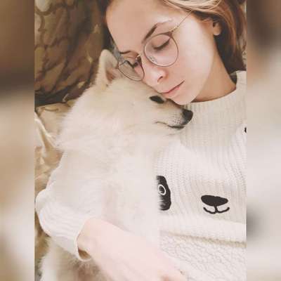 Die Ähnlichkeit zum Hund-Beitrag-Bild