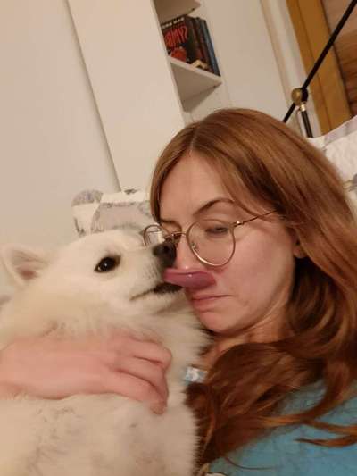 Lustige Bilder-Beitrag-Bild