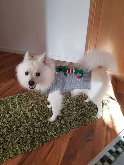 Lustige Bilder-Beitrag-Bild