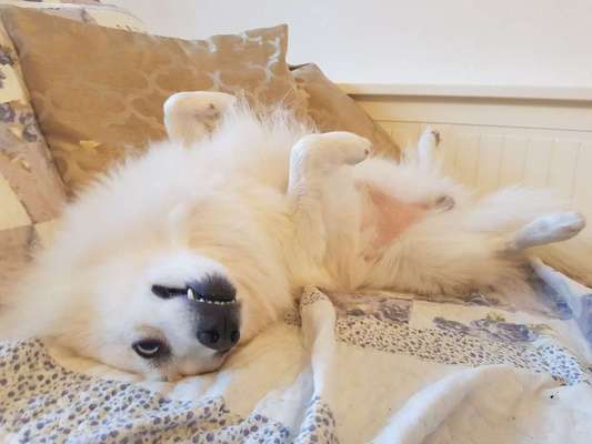 Lustige Bilder-Beitrag-Bild