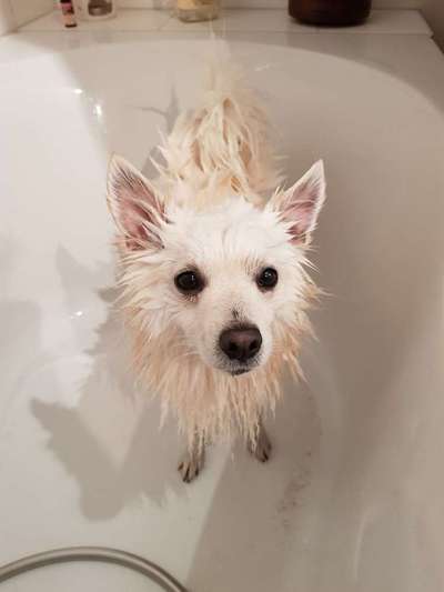 Lustige Bilder-Beitrag-Bild