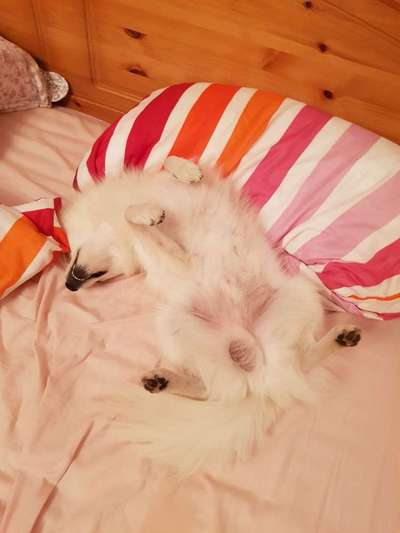 Im Bett schlafen-Beitrag-Bild