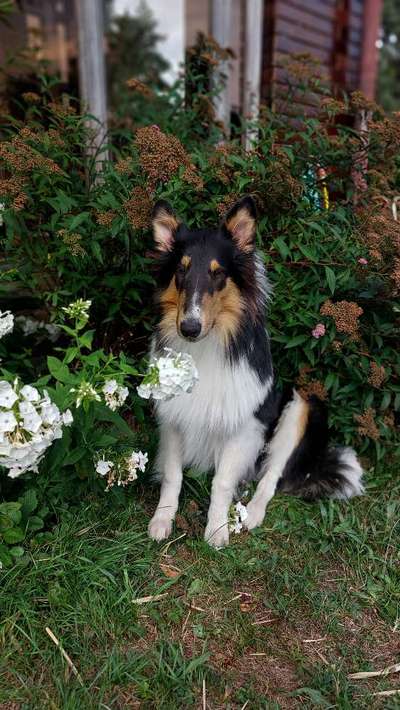 Doppelgänger gesucht !-Beitrag-Bild