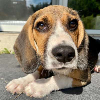 Lieblingsbild-Beitrag-Bild