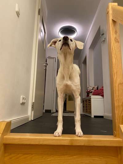 Lieblings Schnappschuss?-Beitrag-Bild