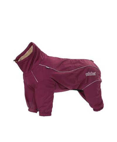 Jacken für kleine Hunde-Beitrag-Bild