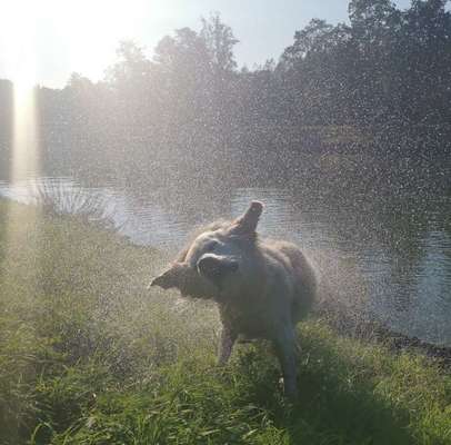 Fotochallenge Nummer 49: Schüttel dich-Beitrag-Bild