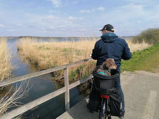 Fahrradkorb-Beitrag-Bild