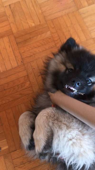 Lustige Grimassen & verrückte Posen-Beitrag-Bild