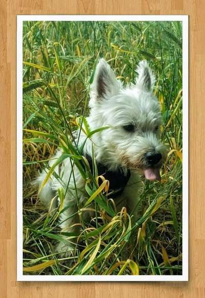 Lieblings Schnappschuss?-Beitrag-Bild