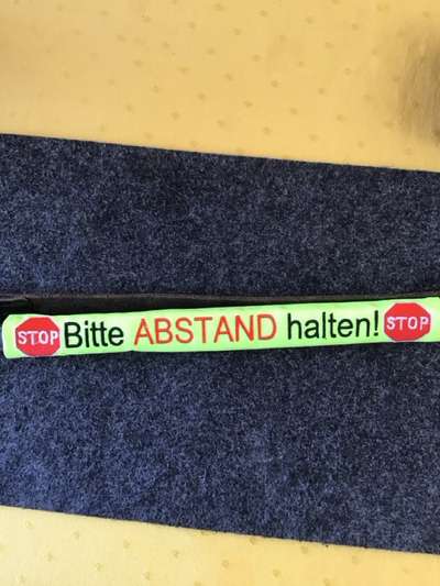 Leinenkontakt nicht erwünscht-Beitrag-Bild