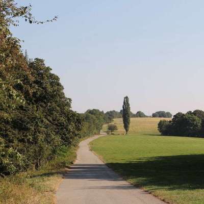 Titelbild Gruppe Fellnase aus Wuppertal