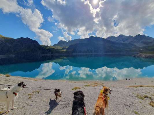 156. Fotochallenge *** DEIN HUND UND DIE WUNDERSCHÖNEN WOLKEN ***-Beitrag-Bild
