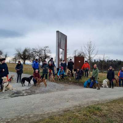 Hundetreffen-Sozial Walk-Bild