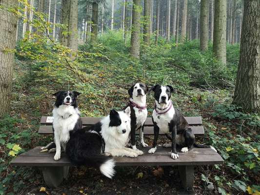 Fotochallenge 69-Beitrag-Bild