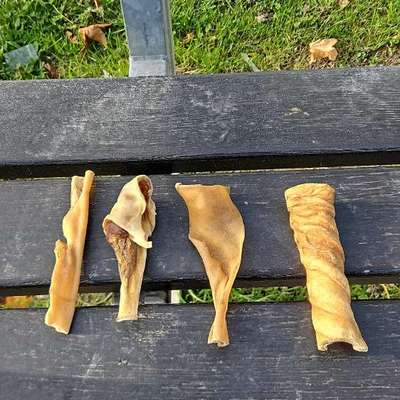 Giftköder-Giftköder - Kauartikel-Bild