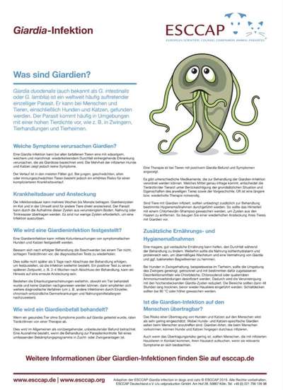 Ätherische Öle der (rohen) Karotte gegen Würmer?-Beitrag-Bild