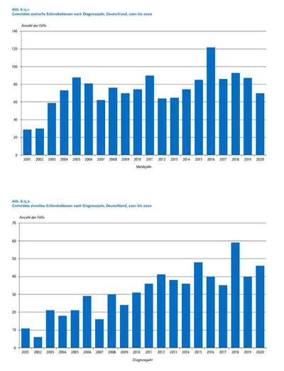 Entwurmung - Mäuse fangen-Beitrag-Bild