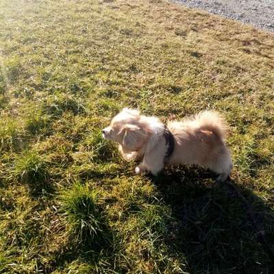 Marlene's Profilbild