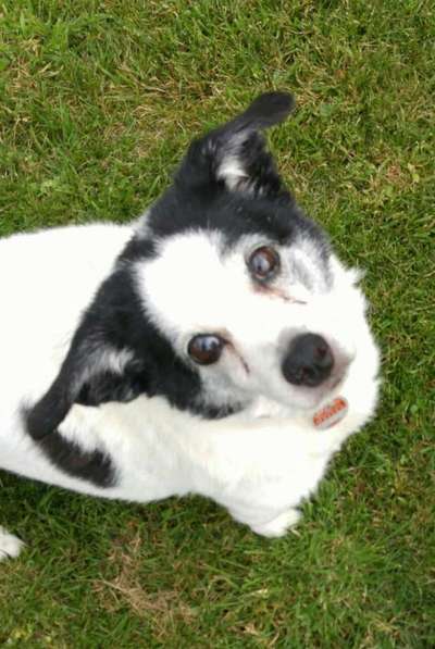 Fotochallenge Nr. 56 - geliebte Senioren-Beitrag-Bild