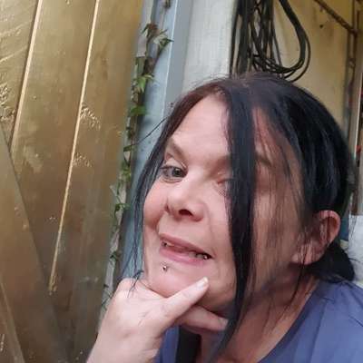 Hundetreffen-Welpentreffen