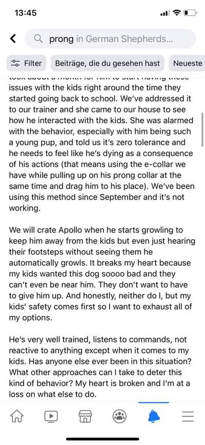 Alles rund um den Schäferhund, diskutieren erwünscht.-Beitrag-Bild