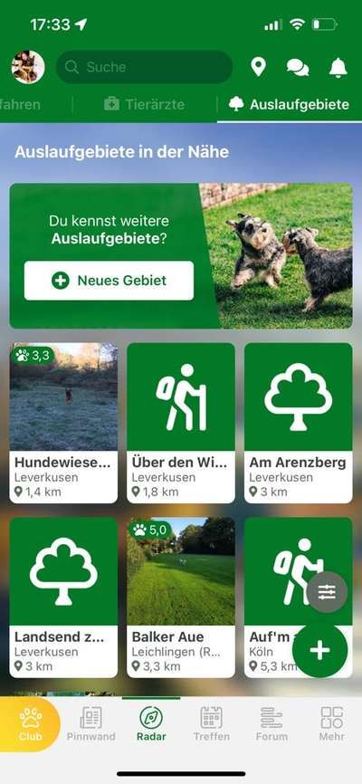 EINGEZÄUNTE Hundewiese-Beitrag-Bild