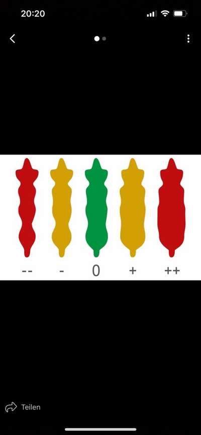 Der Gewichts-Thread-Beitrag-Bild