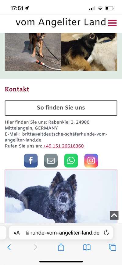 Alles rund um den Schäferhund, diskutieren erwünscht.-Beitrag-Bild