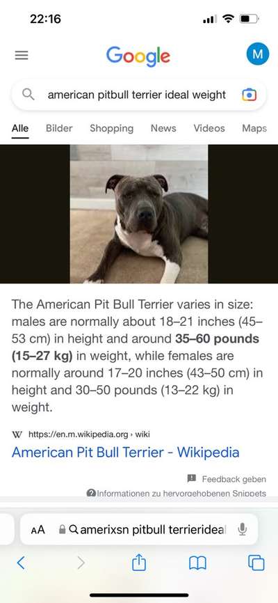 Der Gewichts-Thread-Beitrag-Bild