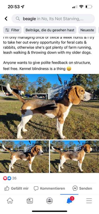 Der Gewichts-Thread-Beitrag-Bild