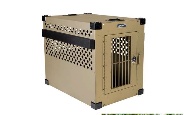 Alles rund um den Schäferhund, diskutieren erwünscht.-Beitrag-Bild