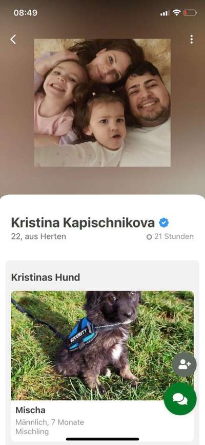 Hirtenhund-Beitrag-Bild