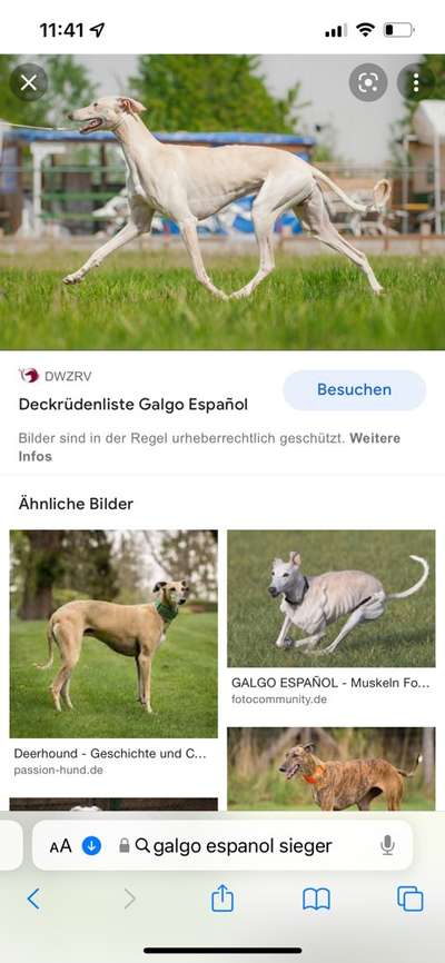 Der Gewichts-Thread-Beitrag-Bild