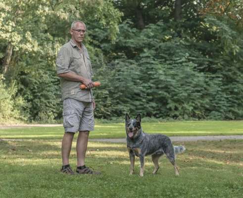 Alles rund um den Schäferhund, diskutieren erwünscht.-Beitrag-Bild