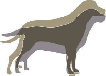 Der Gewichts-Thread-Beitrag-Bild