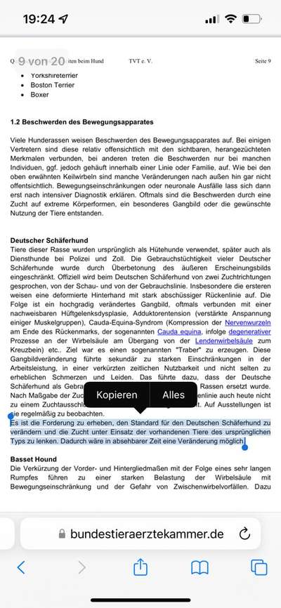 Alles rund um den Schäferhund, diskutieren erwünscht.-Beitrag-Bild