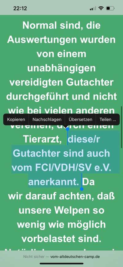 Alles rund um den Schäferhund, diskutieren erwünscht.-Beitrag-Bild