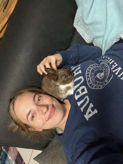 Alles rund um den Schäferhund, diskutieren erwünscht.-Beitrag-Bild