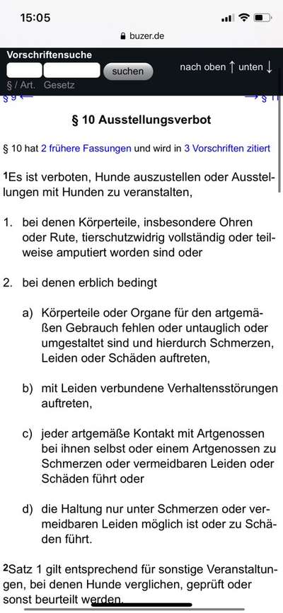 Brachycephale Hunderassen-Beitrag-Bild