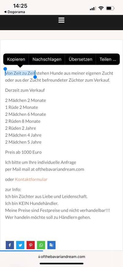 Alles rund um den Schäferhund, diskutieren erwünscht.-Beitrag-Bild