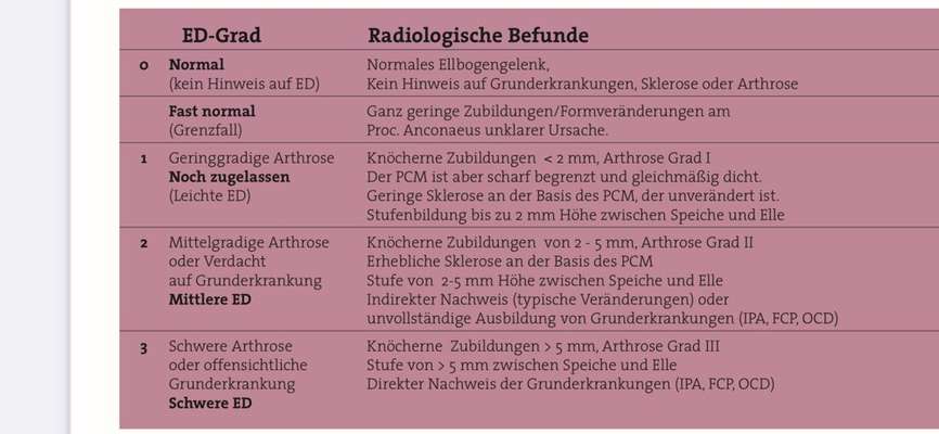 Alles rund um den Schäferhund, diskutieren erwünscht.-Beitrag-Bild