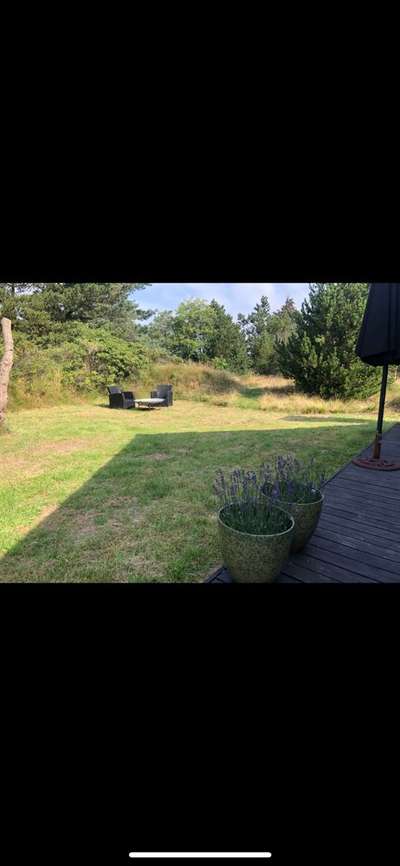 Alles rund um den Schäferhund, diskutieren erwünscht.-Beitrag-Bild