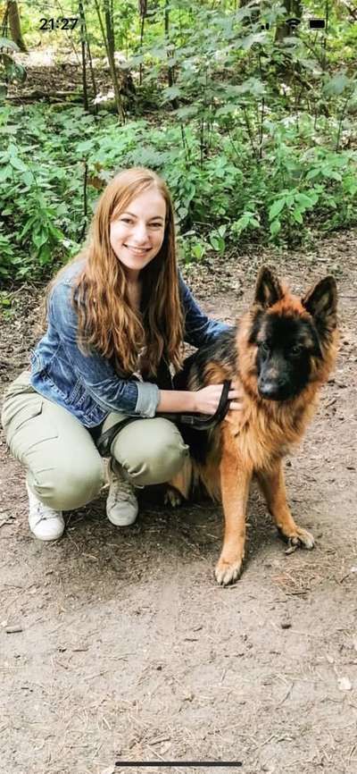 Alles rund um den Schäferhund, diskutieren erwünscht.-Beitrag-Bild