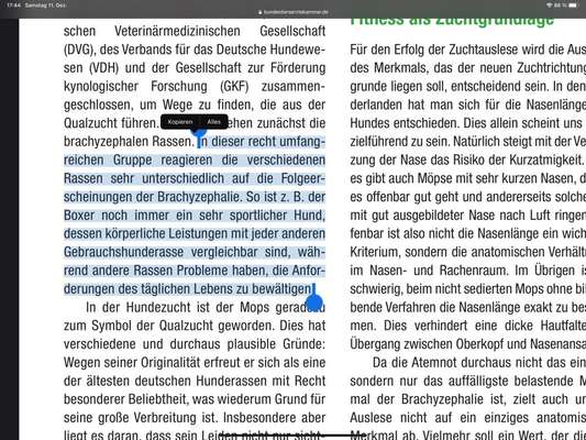 Brachycephale Hunderassen-Beitrag-Bild