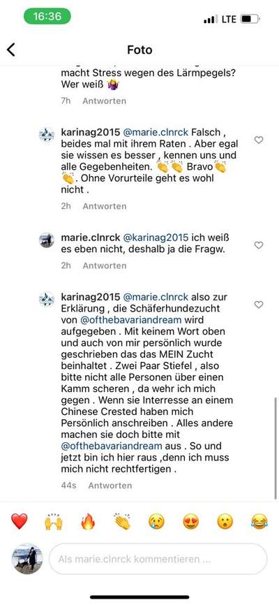 Alles rund um den Schäferhund, diskutieren erwünscht.-Beitrag-Bild