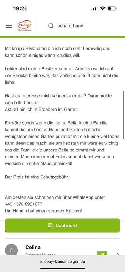 Alles rund um den Schäferhund, diskutieren erwünscht.-Beitrag-Bild