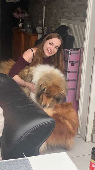 Alles rund um den Schäferhund, diskutieren erwünscht.-Beitrag-Bild