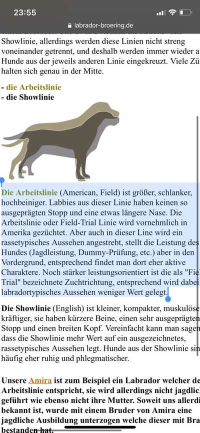 Der Gewichts-Thread-Beitrag-Bild